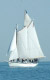Appledore Tall Ships Free Sail