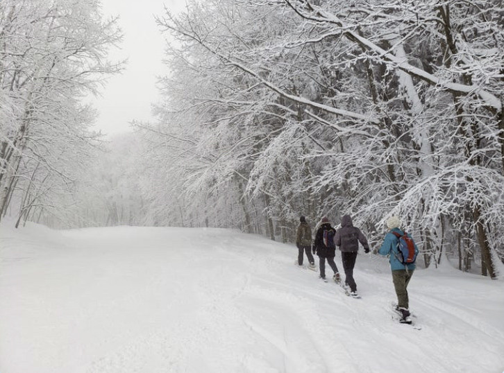 Snowshoeing in Northern Michigan
